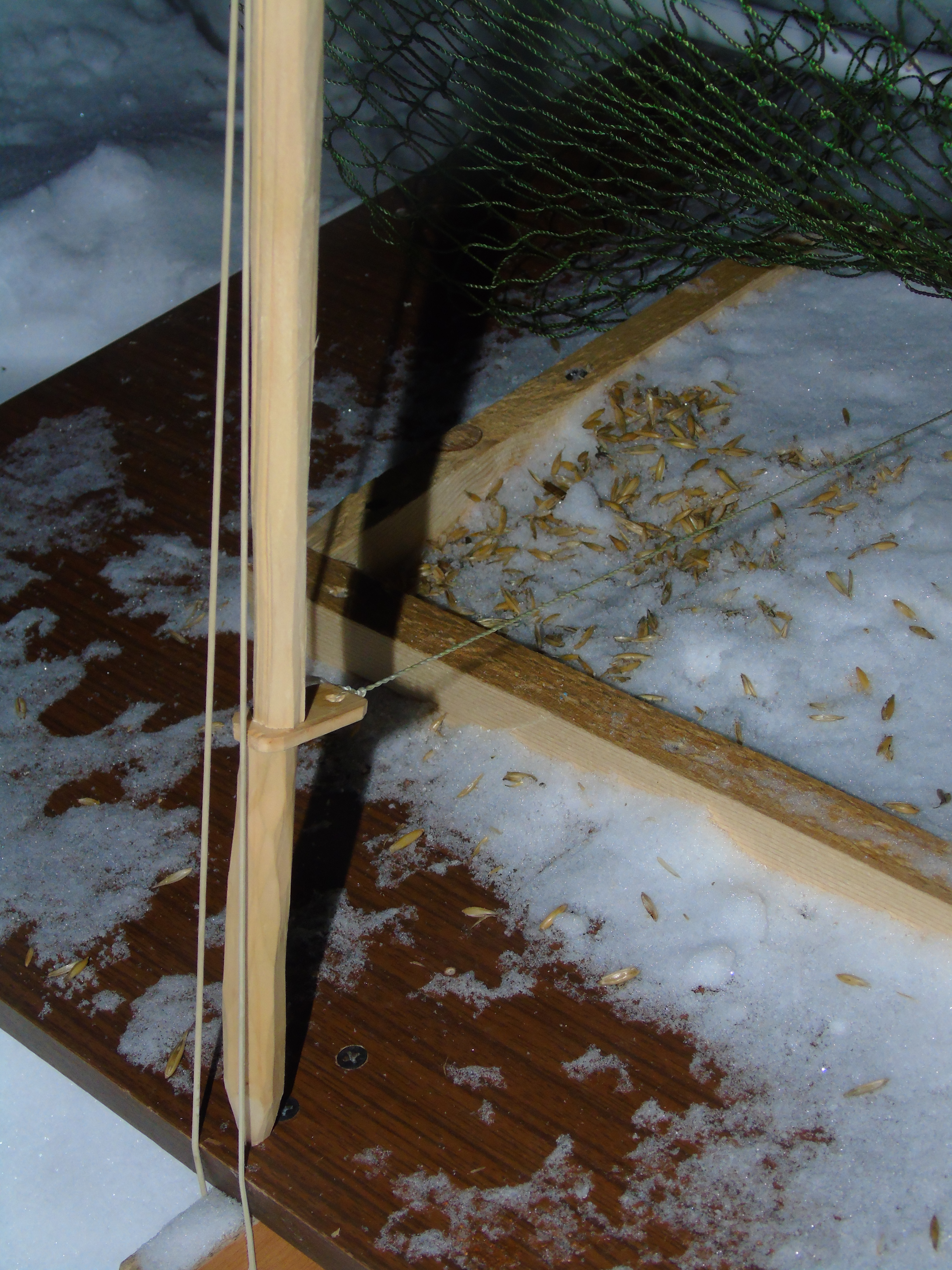 Отлов сбежавших куропаток - делаем ловушку